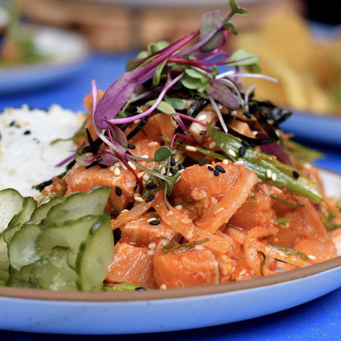 SalmonPoke2_JEFFSHERIDAN