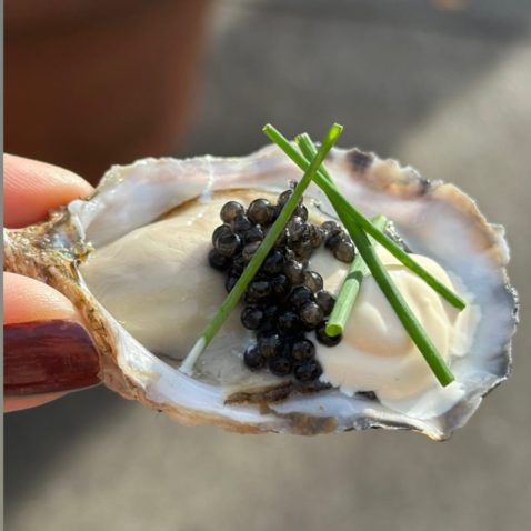 events-oyster-4