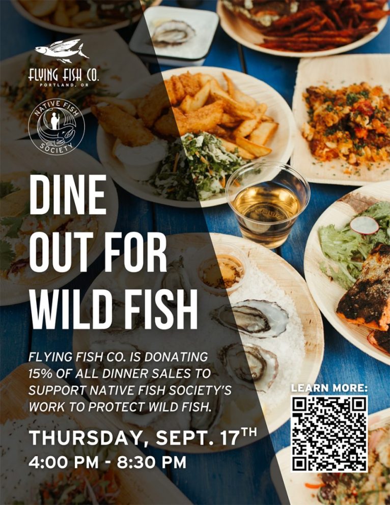 ff-NFS26_flyer